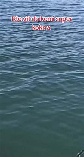 Discover the Best Sea Bass Recipes in 2023