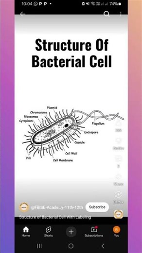 UNDERSTANDING BIOLOGY