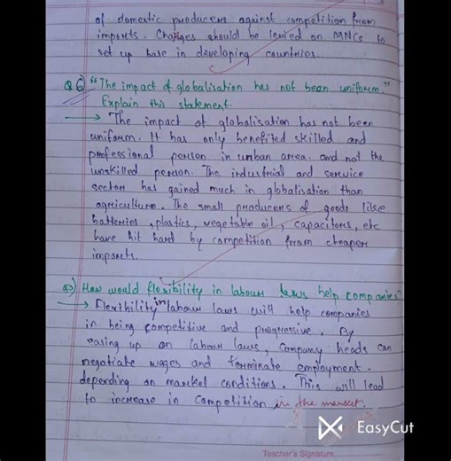 Globalisation and the Indian economy #education #class10 #economics