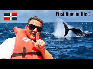 Whale Watching in Samaná! 🐋 Our First Time Seeing Humpbacks