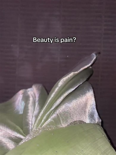 Understanding the Beauty is Pain Philosophy