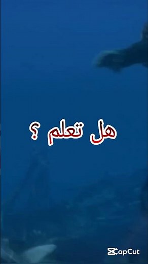 معلومات ستصدمك عن ألعاب البلايستيشن 3 و لعبة fuel 🎯 #بلايستيشن_3 #ps3 #fuel