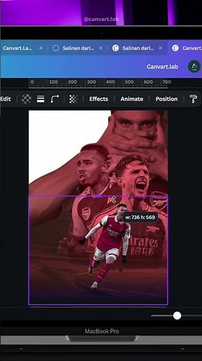 Canva tutorial
