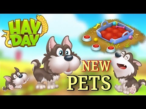 Hay Day Update: New Pets - Husky Puppy