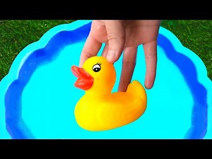 Fun Wild Zoo Animal Toys In The Swimming Pool - Learn Animal Names