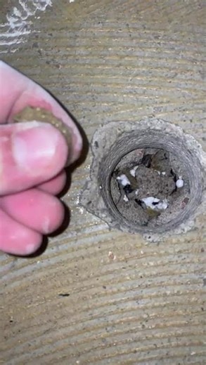 Feuchtigkeit in der Estrichdämmschicht - mineralische Dämmung ESD - DryHome GmbH