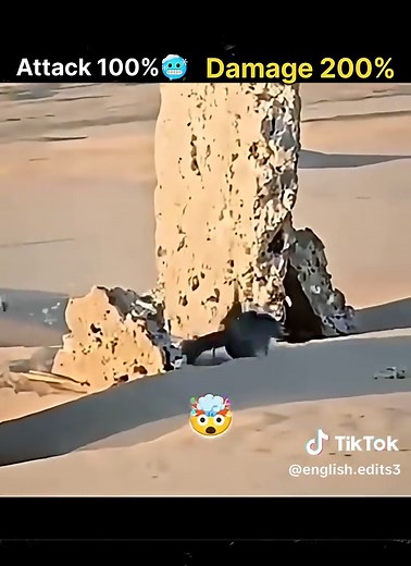 Exploring the Essence of Cinema: A Film Lover's Journey