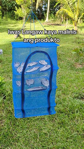 Dried Fish: Tips for Clean and Safe Preparation