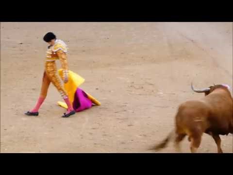 El Matador Más Chingón - Roca Rey