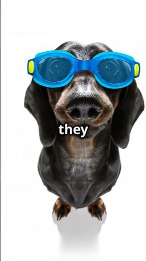 How Humans See Colors Simplified!