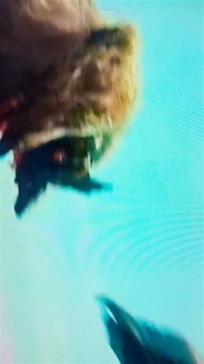 Godzilla Final Wars vs Caesar and Anguirus.