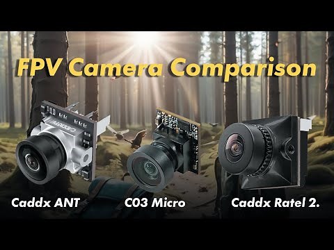 FPV Camera Comparison: C03 Micro, Caddx ANT, Caddx Ratel 2 — Forest Test!