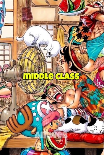 Straw Hat Middle Class Budget? 🥲