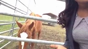 Jessica Crawford previews her story tonight on KFDM News at 6 about loose livestock posing a threat to drivers in Southeast Texas. | KFDM News
