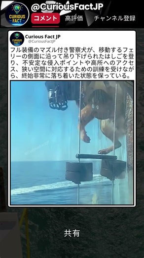 なんでこんな場所で訓練してるの？