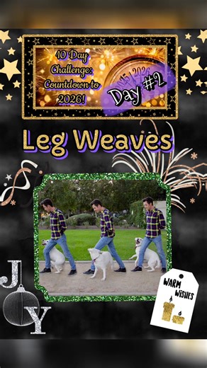 Results from Day #2 of our Countdown to 2026 Dog Training Challenge!! Weave!! | Endless PAWSibilities Dog Training, PLLC