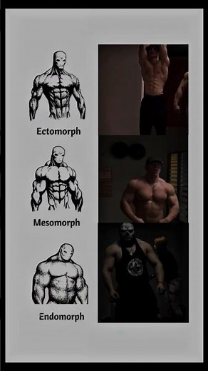 Ectomorph, Endomorph, or Mesomorph? Discover YOUR Body Type & Train Smarter