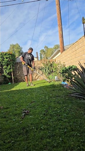 Cutting the grass in my backyard with an old school push mower #cuttinggrass #manuallawnmower