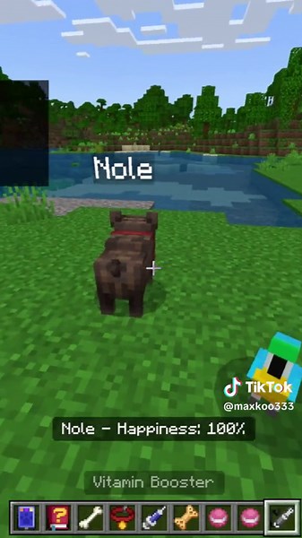 Hướng dẫn nuôi chó trong Minecraft thú vị