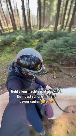 Hast du ein Pferd? Reitbeteiligung oder Pflegebeteiligung? #reiten #reitsport #pferdemädels #horse