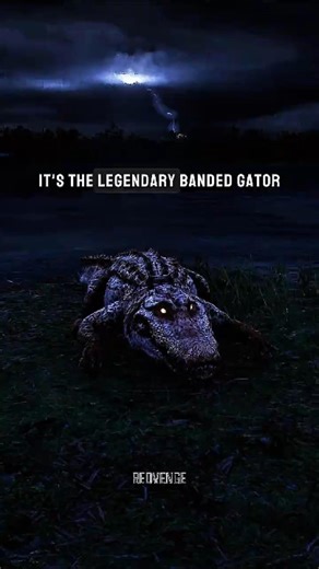 3 Rare Legendary Alligators You Didn’t Know Existed in Red Dead Redemption 2