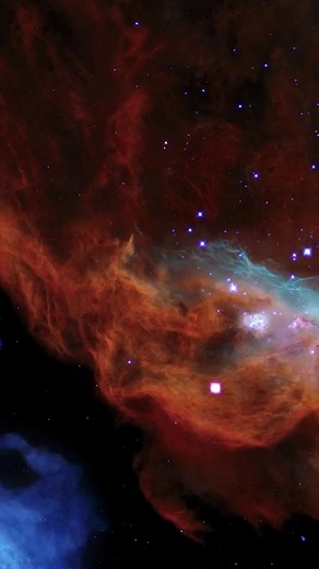 910K views · 10K reactions | Underwater or interstellar? 樂Nicknamed...