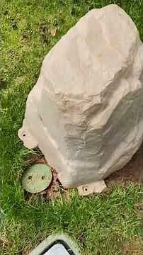 Irrigation System Backflow Preventer Leak