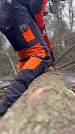 75K views · 1.5K reactions | #logging#forestry#work#fichte | Steffen Aulenbach | Facebook
