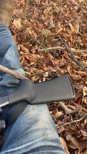 #fyp #ilegal #wv #hunting #deer @parker_mcsexy