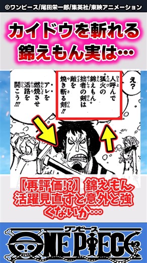 【ワンピース】カイドウの皮膚を斬撃で斬れる錦えもんって…【最新1174話時点】#ワンピース反応集 #shorts