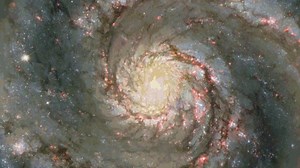 9K views · 50 reactions | Professor of Philosophy, Cosmology, and Consciousness, Brian Swimme discusses the intelligence of the cosmos at our 2018 Global Gathering. Join Brian Swimme in a live conference call on Wednesday, May 29 at 4 p.m. Pacific Time to explore the connection between understanding cosmic evolution and bringing forth a thriving, just, and sustainable world. Register here: https://landing.pachamama.org/global-call | Pachamama Alliance | Facebook