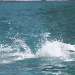 get behind the scenes of the new Sharks music video, live on YouTube now https://imaginedragons.lnk.to/SharksBTS | Imagine Dragons