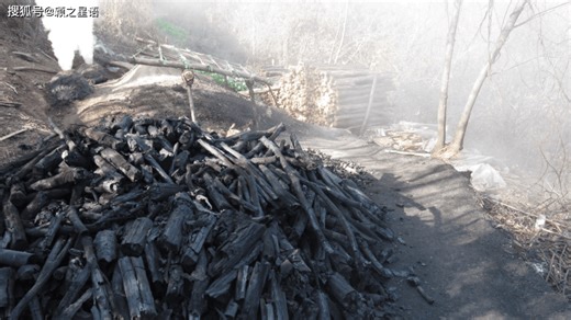 伐薪烧炭南山中，消失的木炭和烧炭翁