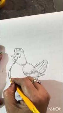 Hen drawing with pencil sketch .#art #drawing #stillife