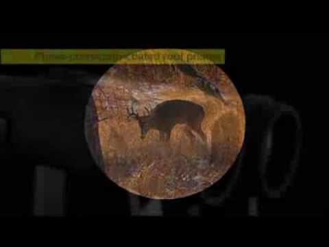 Nikon Monarch 3 Binoculars - Product Review Video