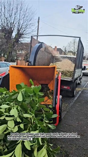 INSANE Wood Chipper Machine | Tree Branches Turn Into Mulch in Seconds