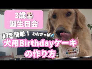 【超簡単！犬用ケーキレシピ】オーブン不要の犬用ケーキを作ってゴールデンレトリバー3歳の誕生日会を開きました！！！