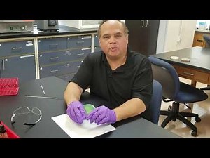 DNA Hydrolysis Test (DNase Test)