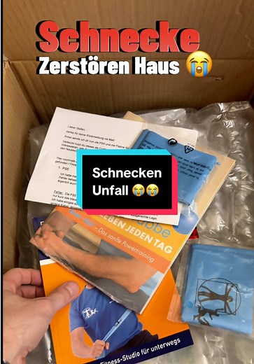 Schnecken Unfall: Reparatur und Schadensbericht