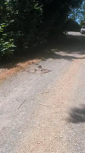 As our year comes to a close, we get to reflect on a fantastic 2025! The letter of the year is "F": Farming, Filming, Family, Friends, Fun, Fishing! A big thank you to the MacInnes family for allowing the Heartie community (and more) to be a part of this very special farm. Whether it be via tours, visiting Locality Brewing or engaging with us online, we appreciate you all and your support of the MacInnes family and their farm. Filming is only a part of what happens here. Farming happens year rou