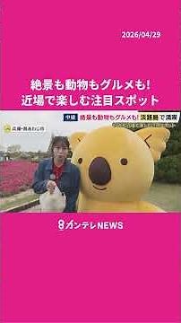 兵庫・南あわじ市「イングランドの丘」に“コアラのマーチくん”登場！5月6日来園予定 絶品しらす丼に名物・淡路島玉ねぎも #ニュース #gw #ゴールデンウィーク #グルメ #淡路島