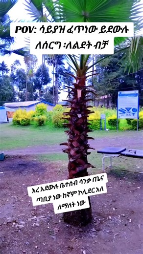 epha man@@@@@ (@epha30)’s videos with original sound - KAL 🎶