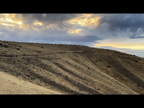 I Moved to Washington State and it was Worth it!