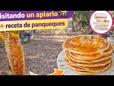 Visiting an apiary 🐝 + recipe for pancakes with artisanal honey @apiculturadelllano7399