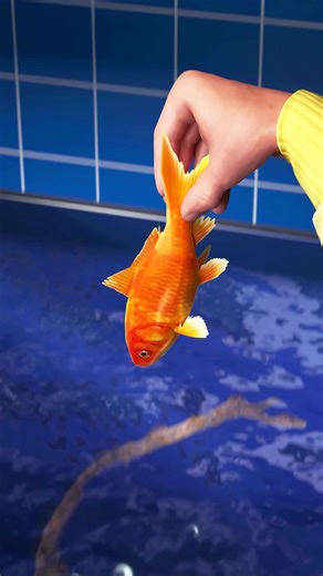 Goldfish Survives 7 Years In A Filtration Tank 😮