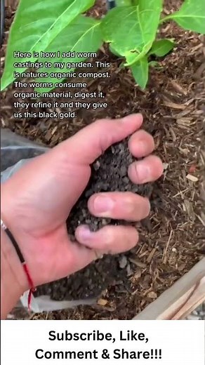How to Add Worm Castings to Your Garden