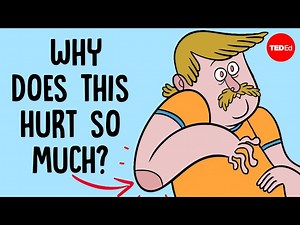 Why does hitting your funny bone feel so horrible? - Cella Wright - Videos For Kids