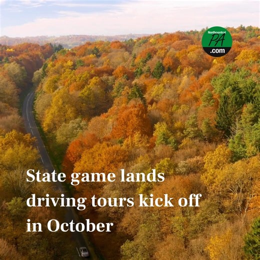 Looking for a great way to see the fall colors and learn about the beautiful place we call home? We've got just the thing. Check out the PA Game Lands Fall Driving tours hosted by the Pennsylvania Game Comission. The tours provide an example of the opportunities available on game lands statewide, while showcasing how habitat work being done on these tracts benefits wildlife. There are nine tours scheduled this year, but only one is taking place inside our 12-county region: 🍁 SUNDAY, OCT. 6 Brad