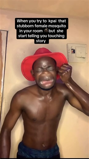 414K views · 16K reactions | This mosquito talented sha  | Mr Paul comedian | Facebook