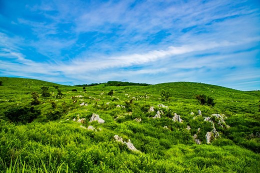 秋吉台｜日本最大級のカルスト台地【公式】山口県観光/旅行サイト おいでませ山口へ